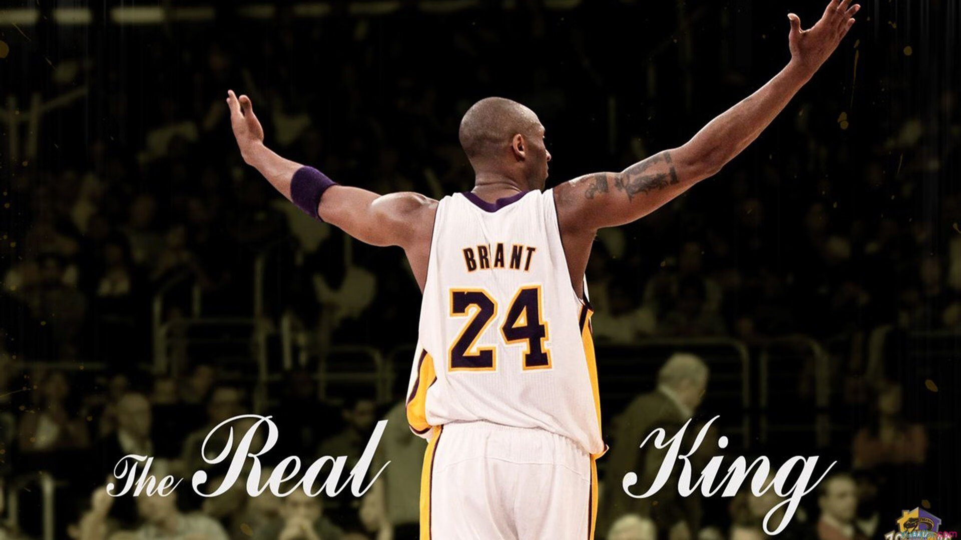 体育精神闪耀赛场